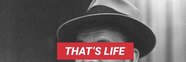 Storeqm1's profile banner image