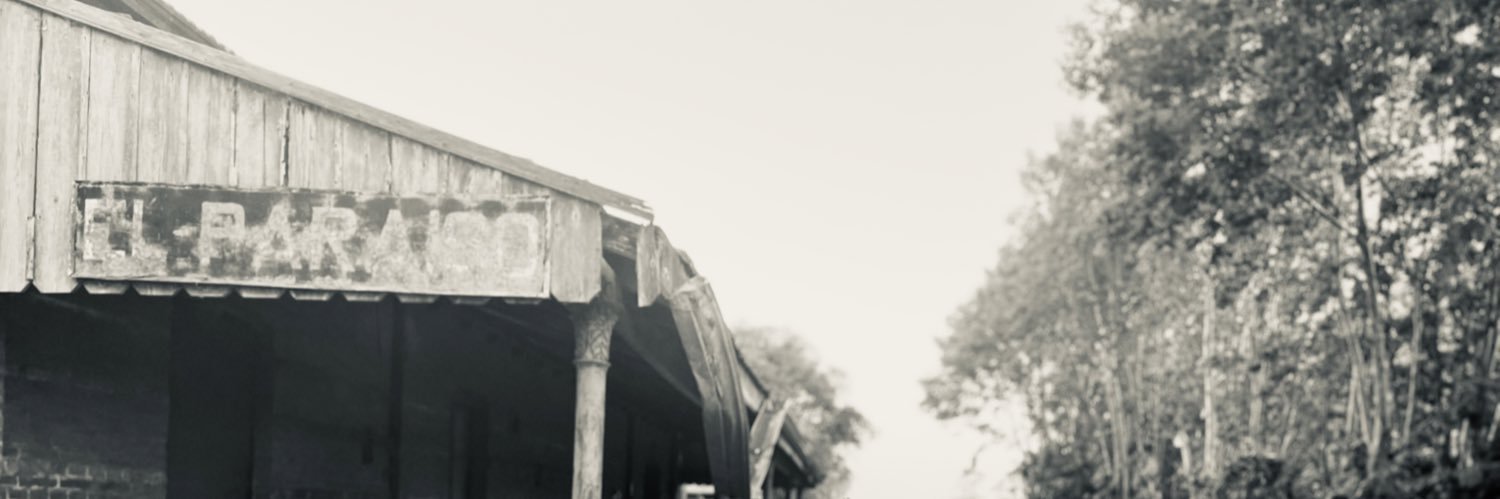 dterragno's profile banner image