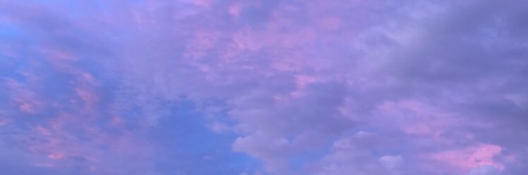 MrtnsFlavia's profile banner image