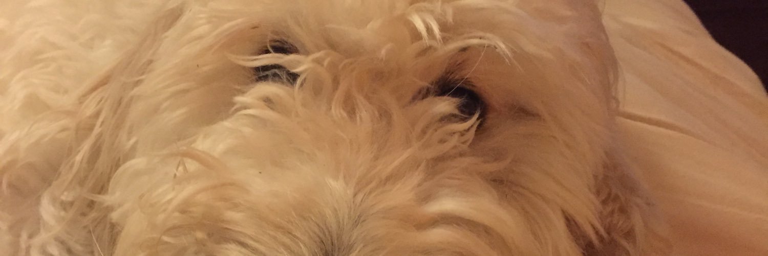 jules23's profile banner image
