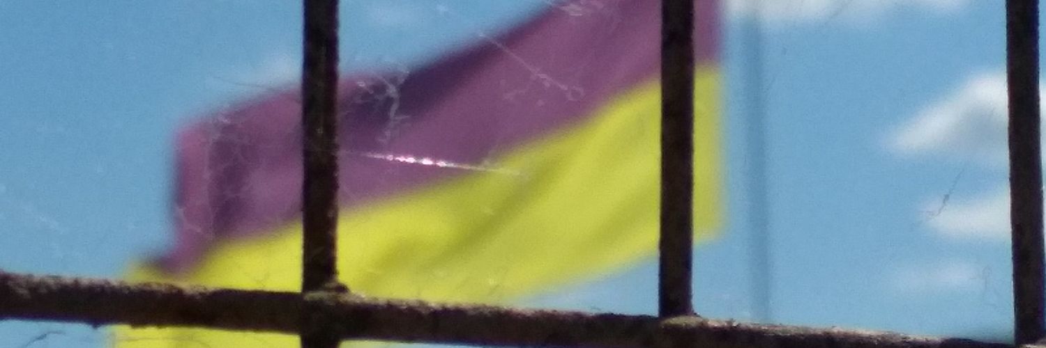 dmytroyevchyn's profile banner image