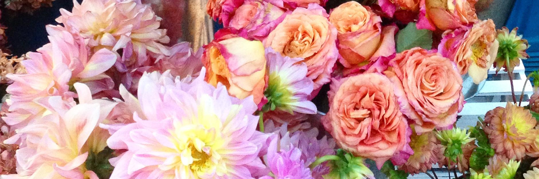 MsKellyGoldston's profile banner image