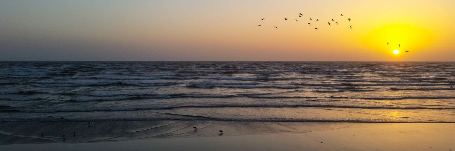 mria_nm's profile banner image