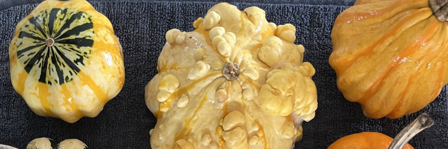 Saighton Church of England Primary & Pre-School banner