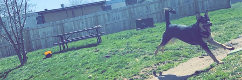 __Morgan4's profile banner image