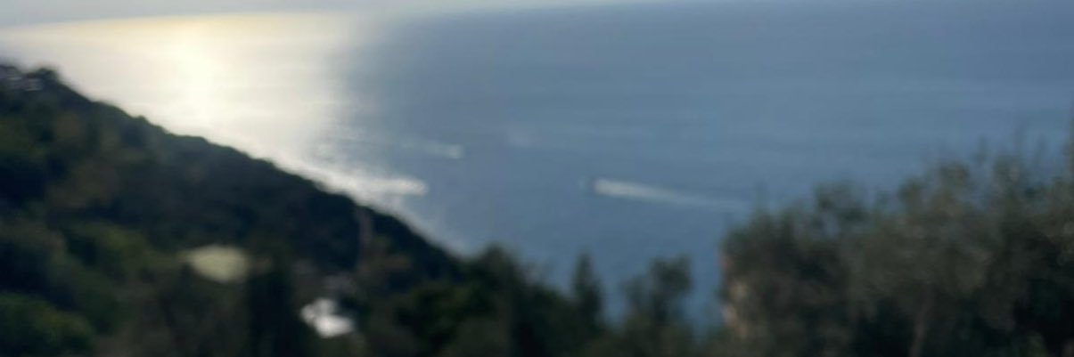 mendthsk's profile banner image