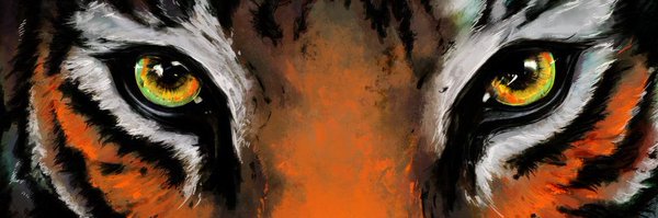 CoachKHayesTF Profile Banner