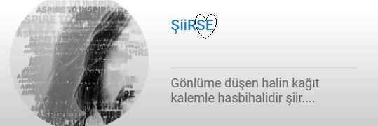 BittiRuya.... banner