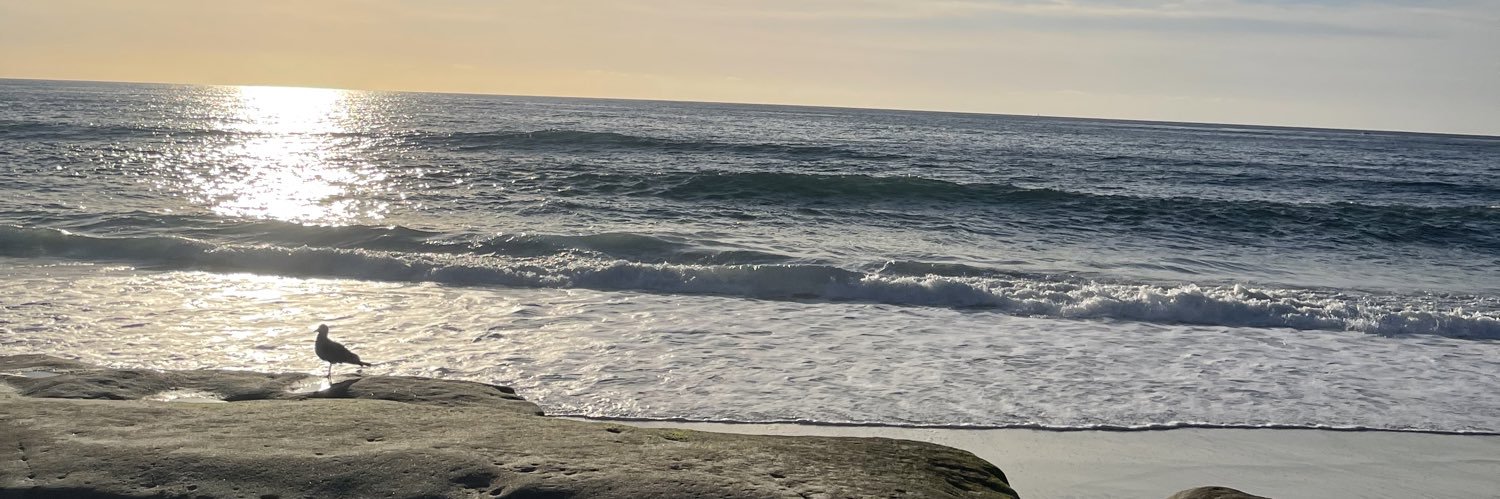 mostlymanda's profile banner image