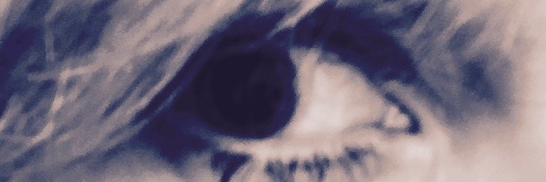 motherforce's profile banner image