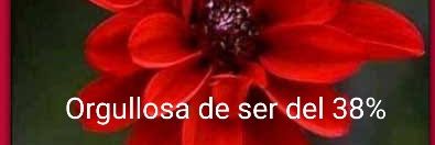 Patty#🌳❤️💚💜 Feliz ser del 38% banner