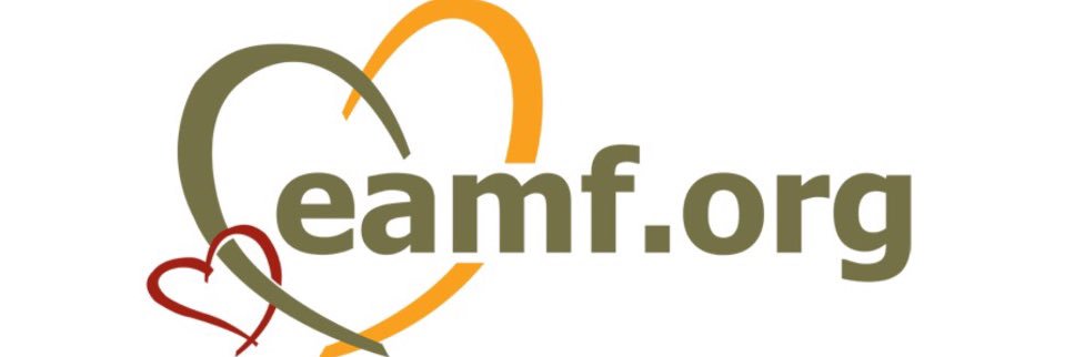 eamf_org's profile banner image