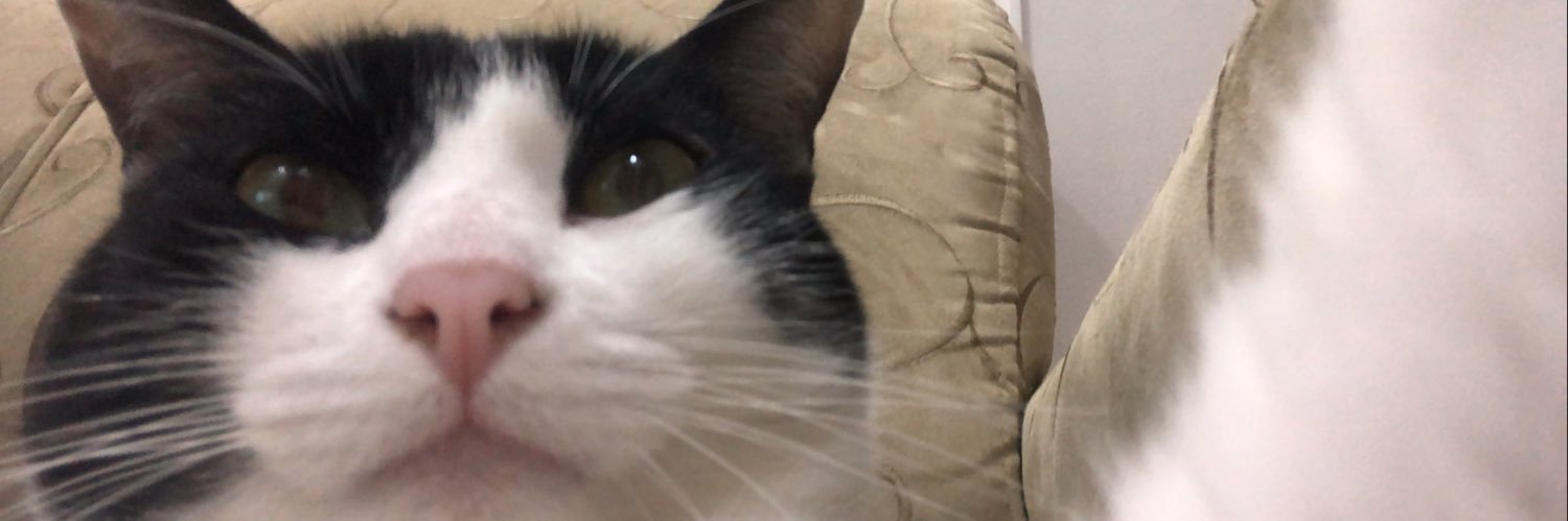 stellaisonfire's profile banner image