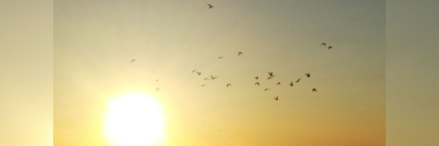 urnilayda's profile banner image