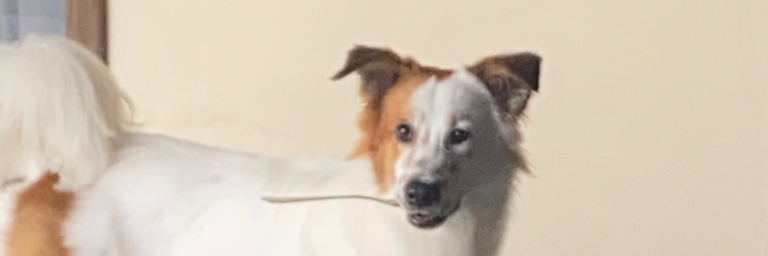 ataldatejando's profile banner image