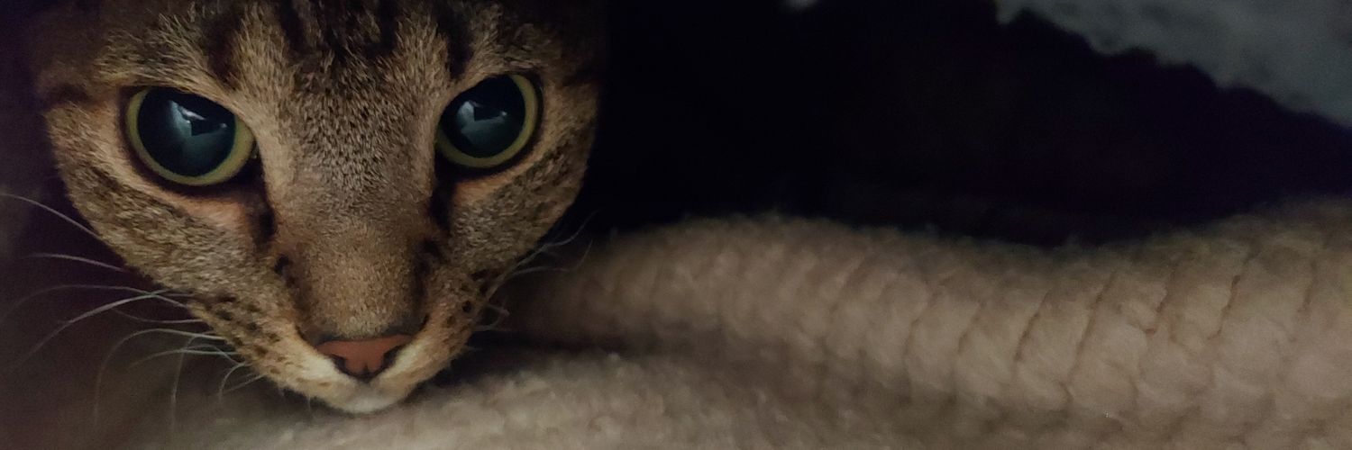mkwluke's profile banner image