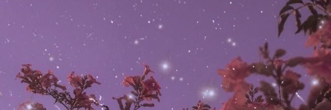 breonnaa444's profile banner image