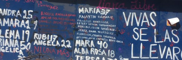 ainara_fonte Profile Banner
