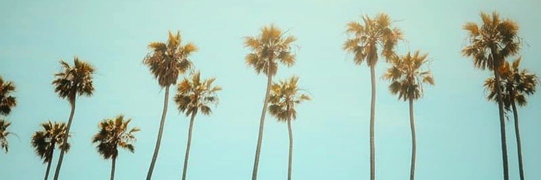 Hugo_HugoH2's profile banner image