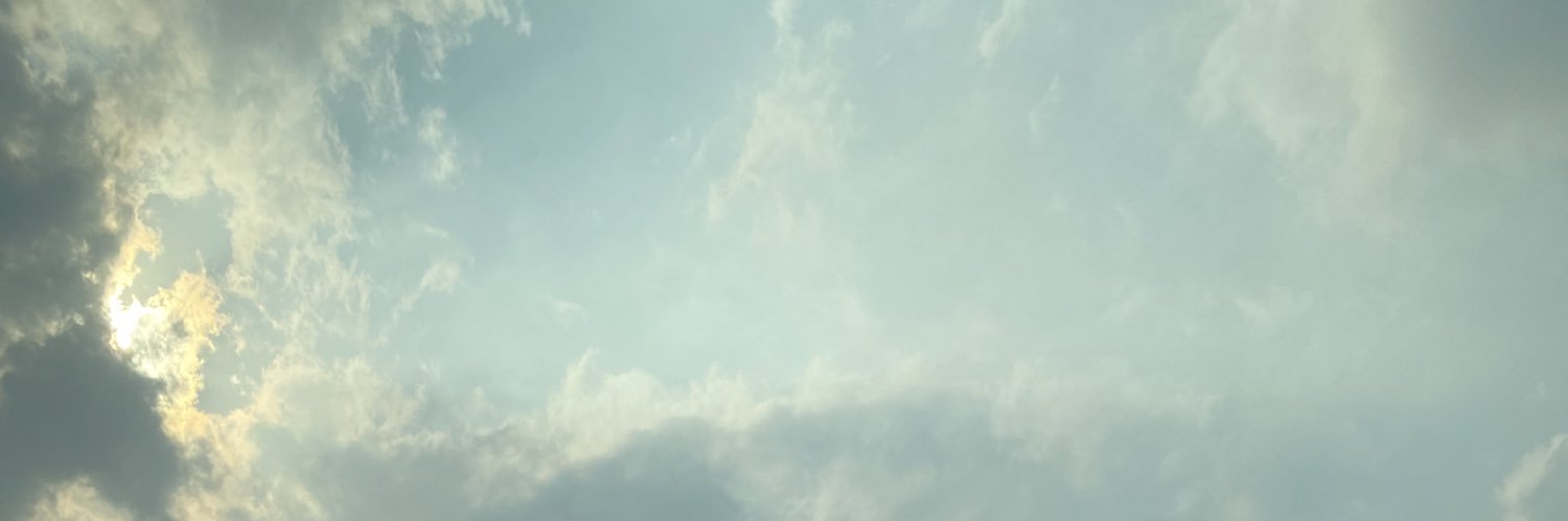 👑 banner
