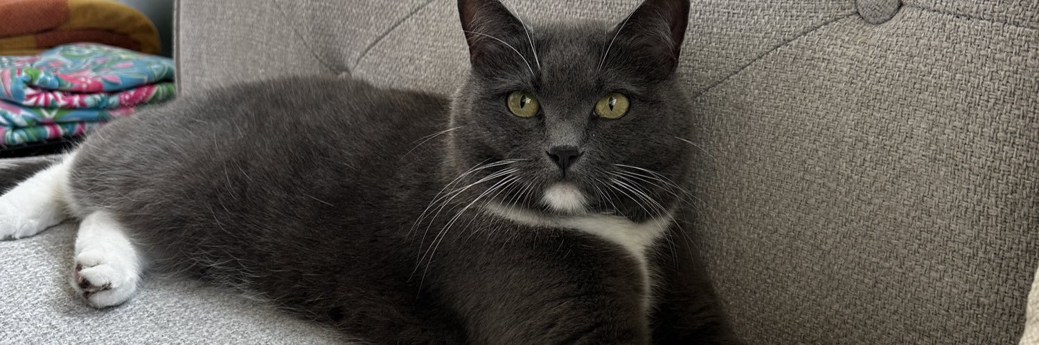 Toriliz2000's profile banner image