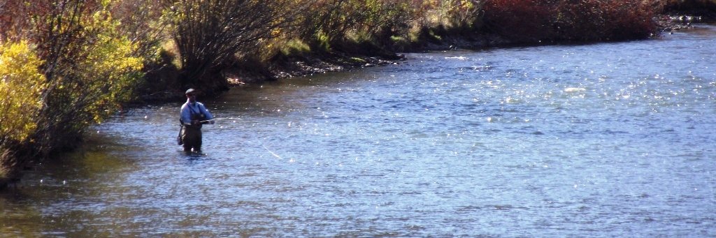 Boise Nat. Forest banner