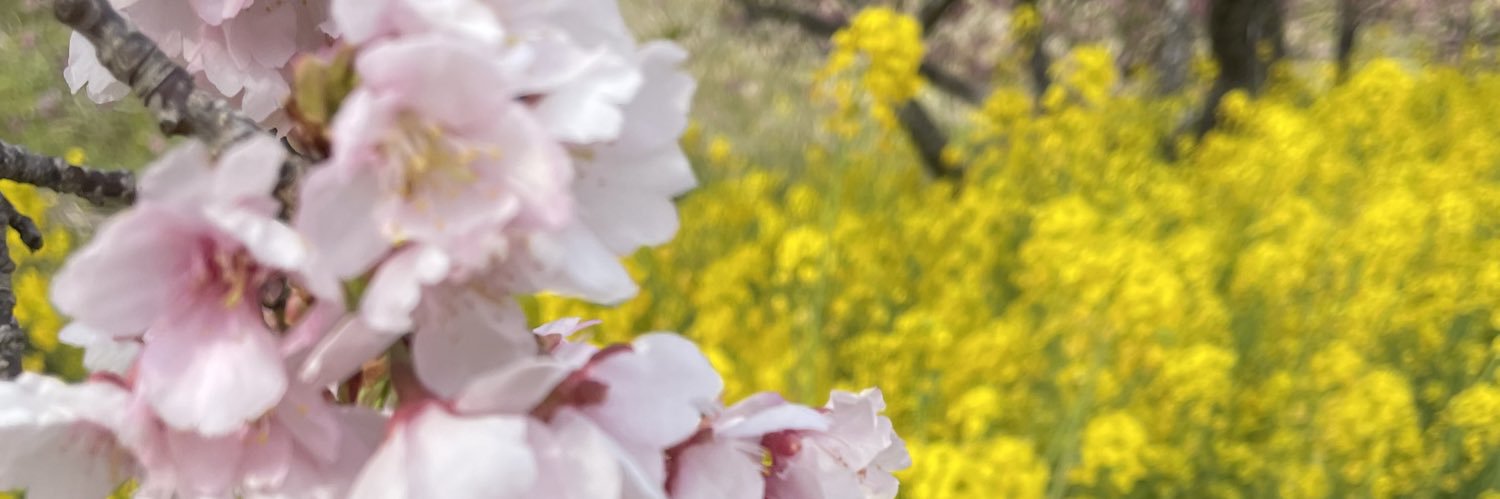 mmshun's profile banner image