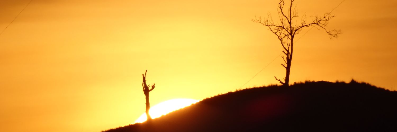 darwinpizzano's profile banner image