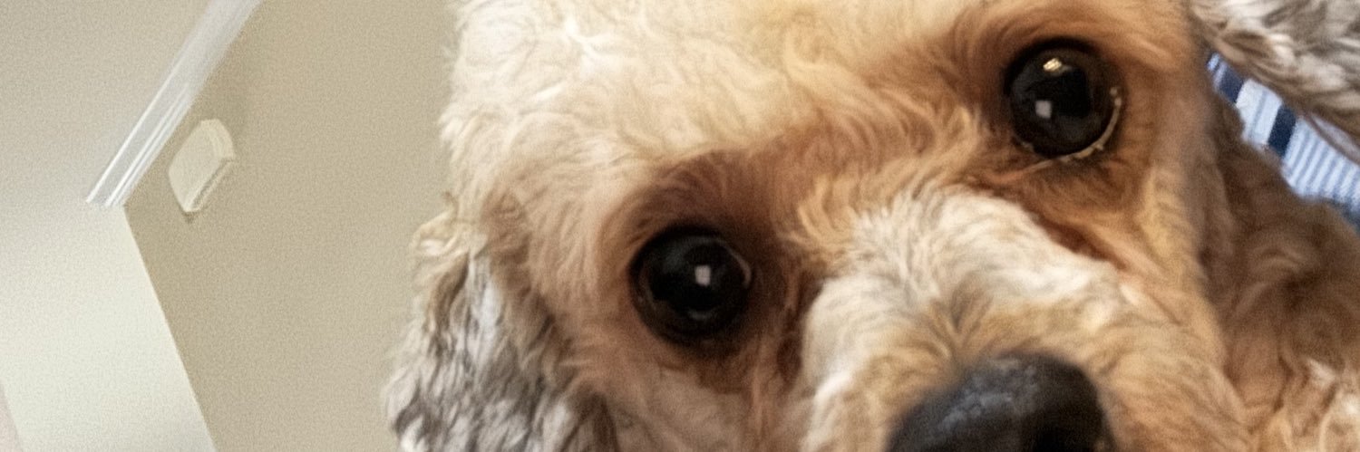 flexfordora's profile banner image