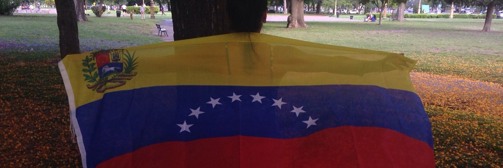 MaviLabarca's profile banner image