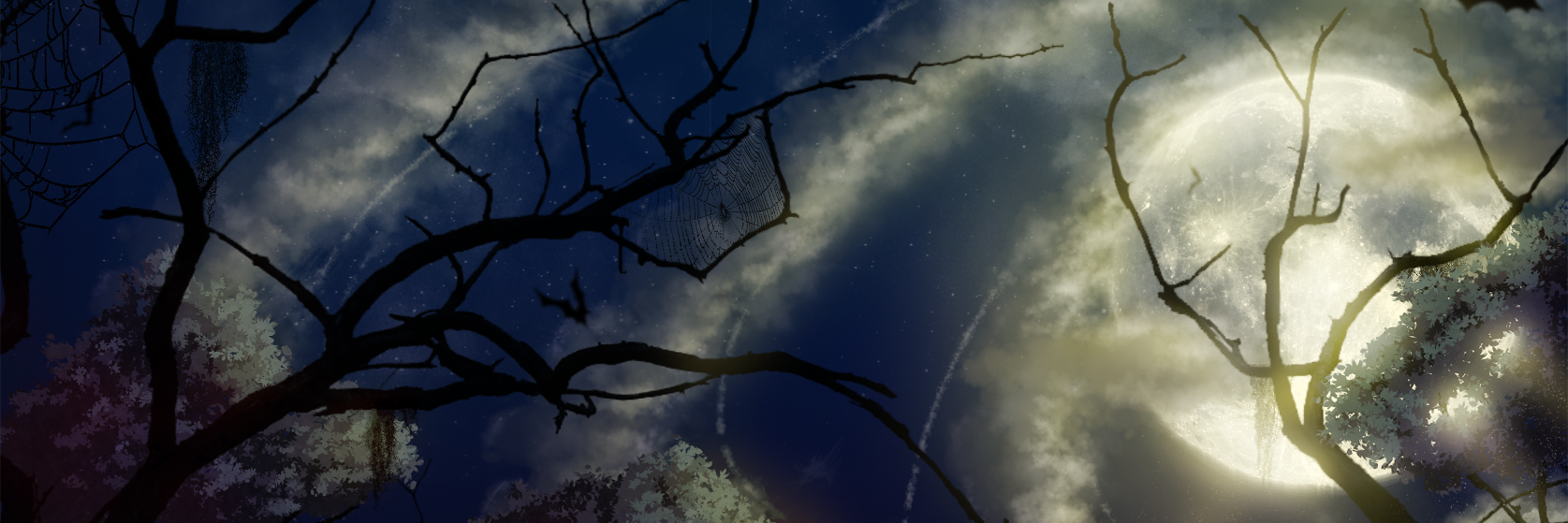 VenomousViperVT's profile banner image