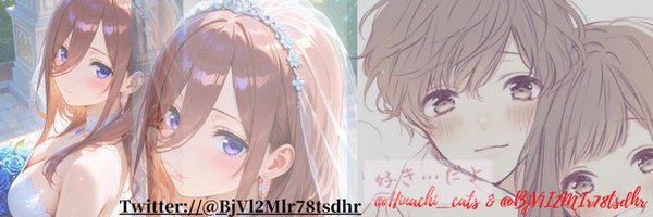 BjVl2Mlr78tsdhr Profile Banner