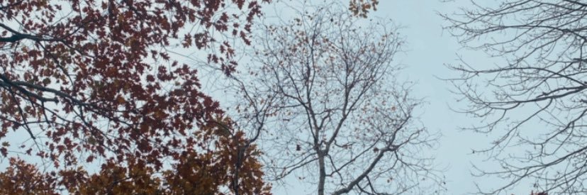 Negra_fea's profile banner image