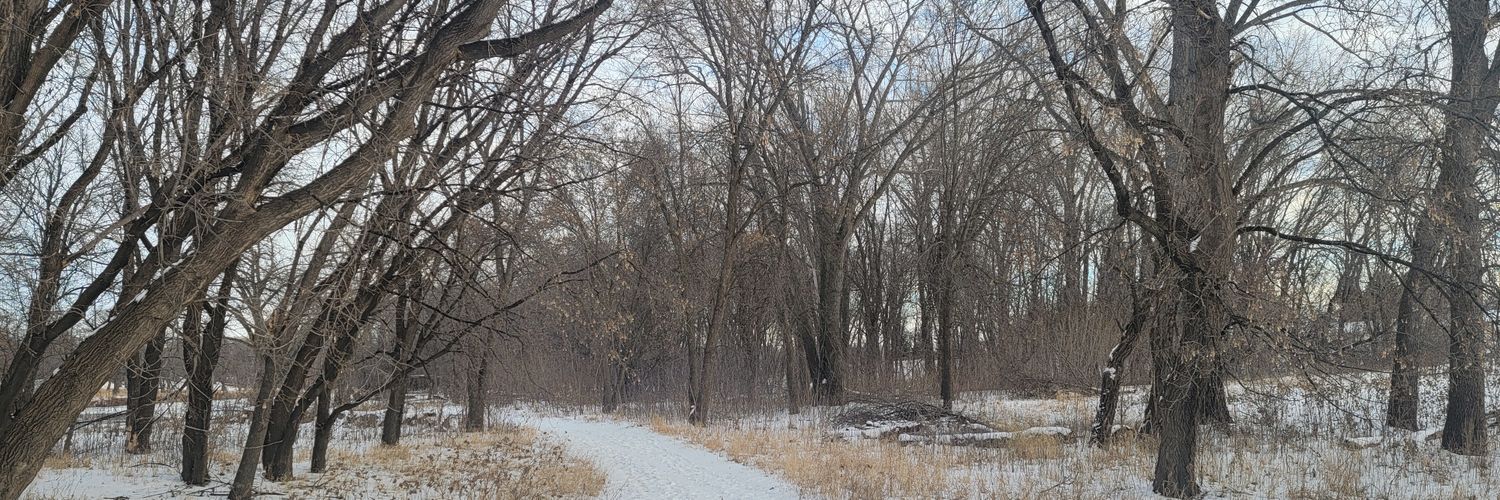 101Wilcox's profile banner image