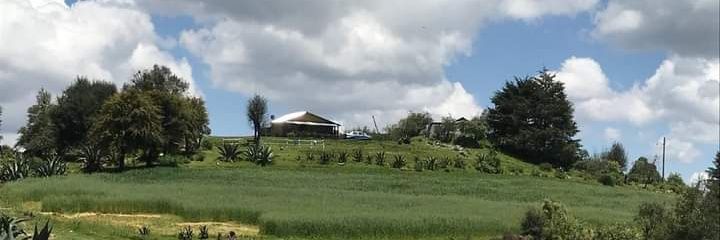 Я ∀ 🇵🇸 banner