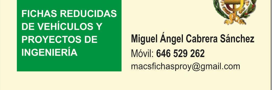 Miguel Angel banner