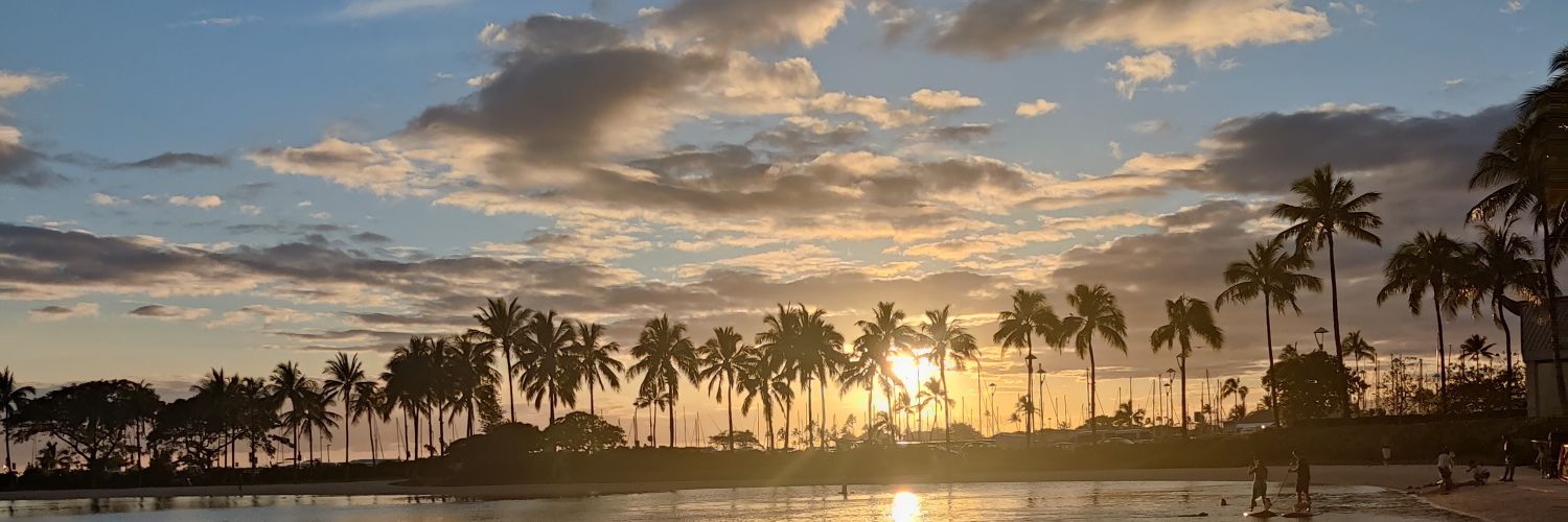 Aly_F_'s profile banner image