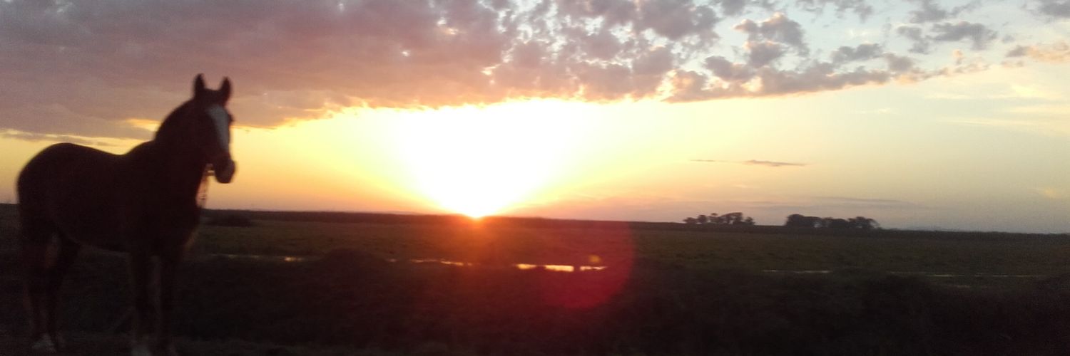 JohnWrafter1's profile banner image