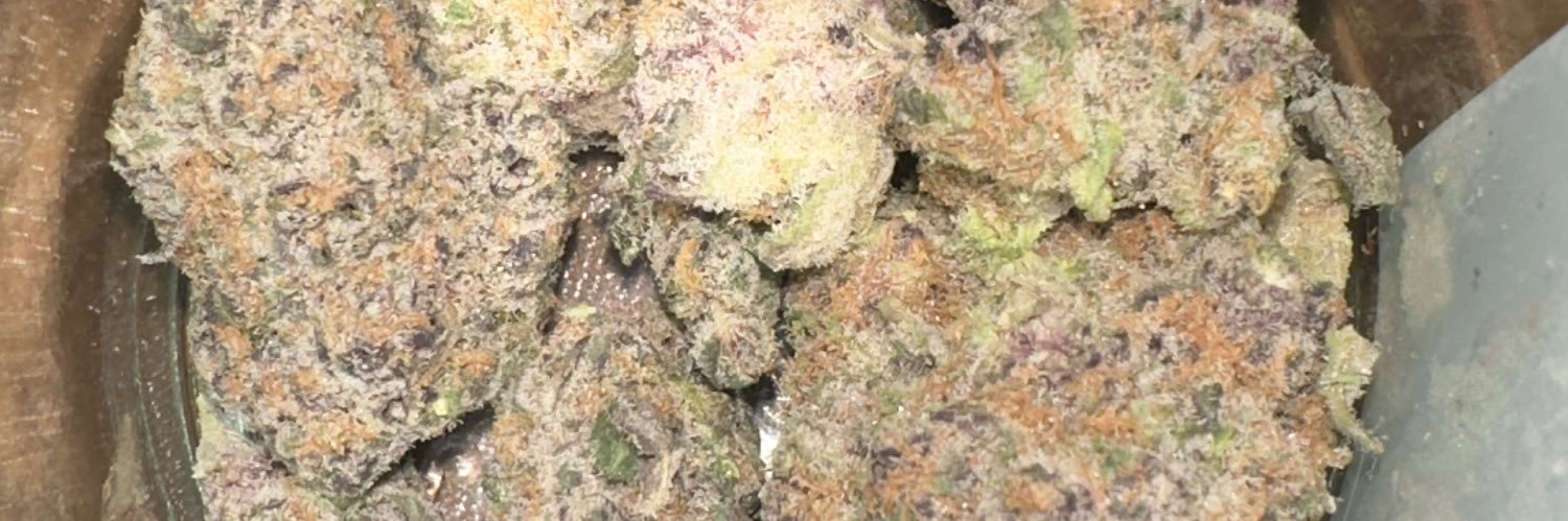 tu pai es pato banner