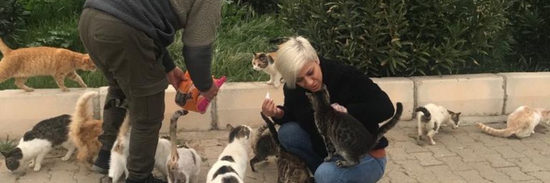 Aysun Güneş banner