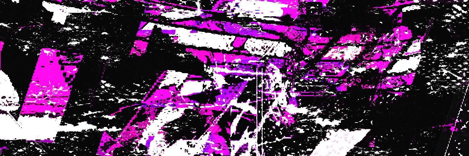 𝕭𝖆𝖗𝖉𝖊𝖑𝖑 banner