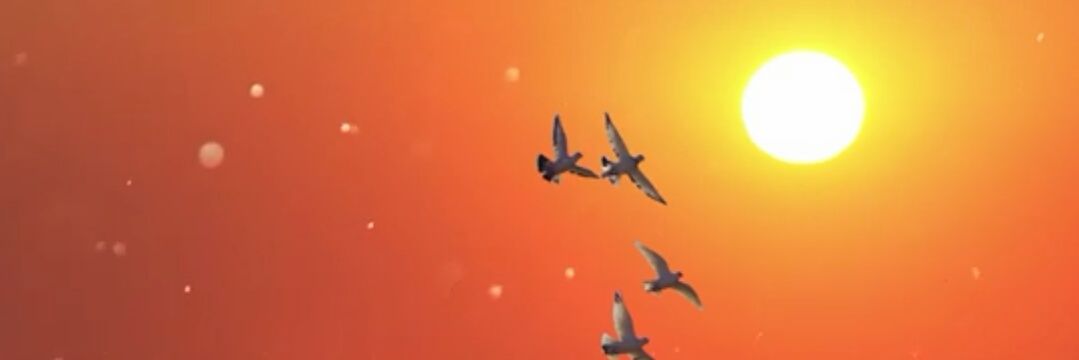 bsra5560's profile banner image