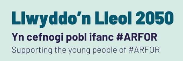 Llwyddo'n Lleol 2050 Profile Banner