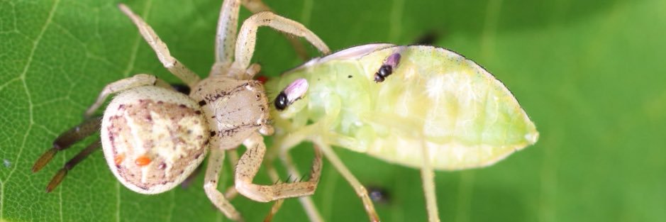 ︎ ︎︎︎ banner