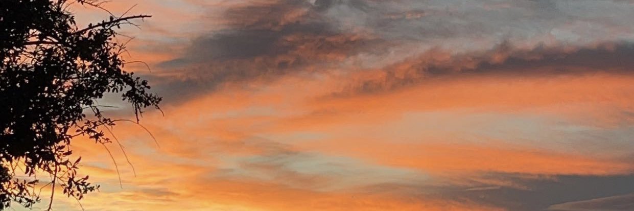 karleyhagar's profile banner image
