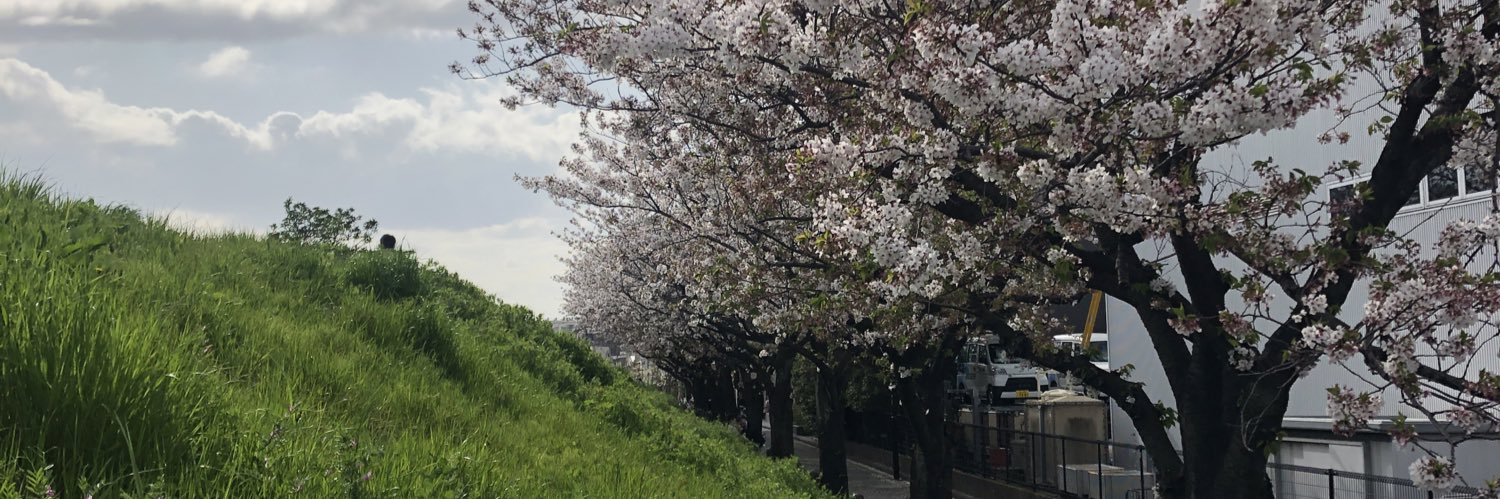 Ally Hongo (本郷アリー) | しいたけクリエイティブ 🙋‍♀️ banner