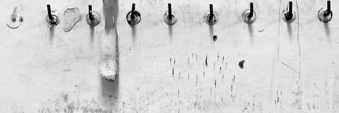 disability_fr's profile banner image