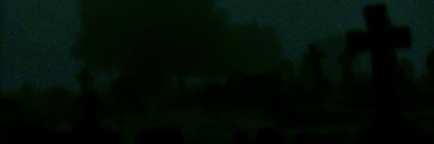 mo 🐀 banner