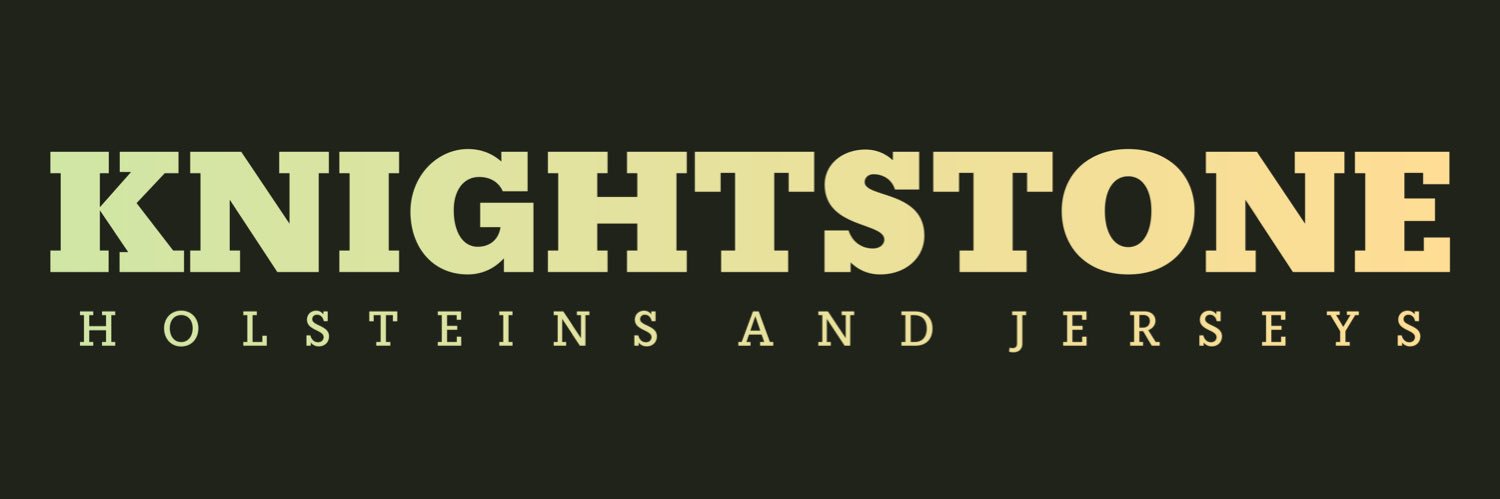 Holsteindave's profile banner image