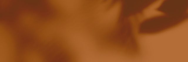 laisesancruz's profile banner image